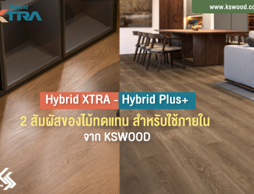 Hybrid XTRA – Hybrid Plus+ 2 สัมผัสของไม้ทดแทนภายใน เลือกให้เหมาะกับคุณ