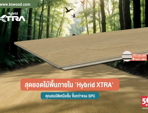 สุดยอดไม้พื้นภายใน ‘Hybrid XTRA’ คุณสมบัติเหนือชั้น ขั้นกว่าของ SPC