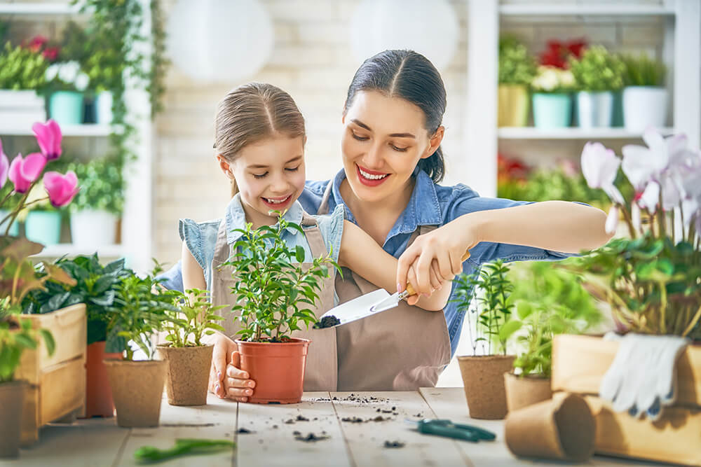 กังวลเรื่องแย่งหายใจจนไม่ยอมปลูกต้นไม้ในบ้าน “CAM Plant” คือคำตอบ!