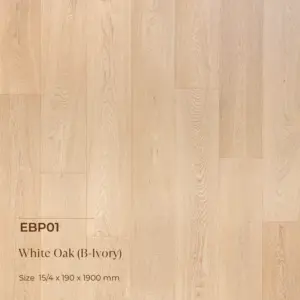 EBP01 White Oak ( B-Ivory )