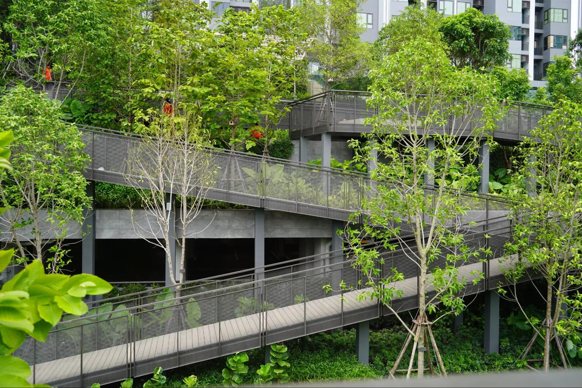 Project : Common Area คอนโด Life Sathorn Sierra การปรับใช้ไม้เทียมให้เป็นสถานที่ เชื่อมโยงทุกกิจกรรม ให้สอดรับกับวิถีที่เป็นธรรมชาติ  ตรงตามคอนเซปต์ ของสถาปนิก 